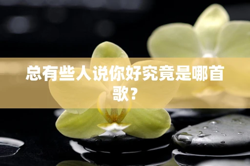 总有些人说你好究竟是哪首歌？