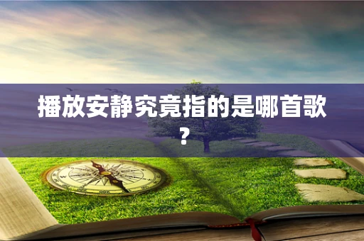 播放安静究竟指的是哪首歌？