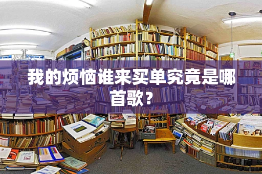 我的烦恼谁来买单究竟是哪首歌？