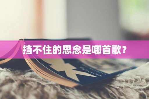 挡不住的思念是哪首歌？