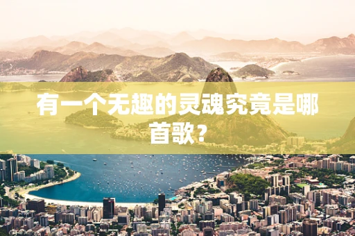 有一个无趣的灵魂究竟是哪首歌？
