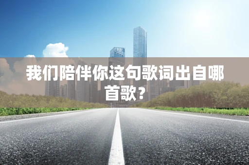 我们陪伴你这句歌词出自哪首歌？
