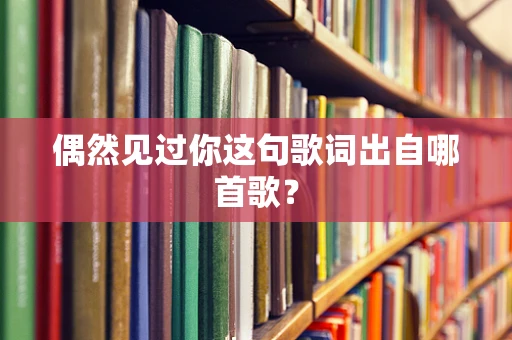 偶然见过你这句歌词出自哪首歌？