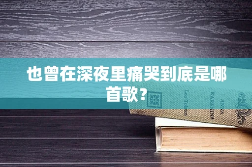 也曾在深夜里痛哭到底是哪首歌？