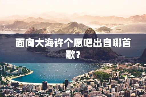 面向大海许个愿吧出自哪首歌？