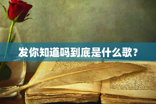 发你知道吗到底是什么歌？