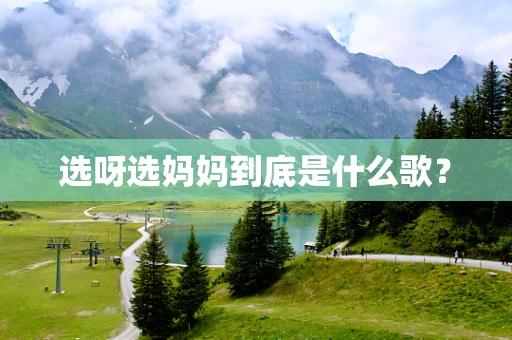 选呀选妈妈到底是什么歌？