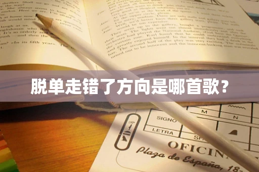 脱单走错了方向是哪首歌？