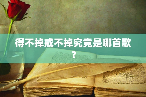 得不掉戒不掉究竟是哪首歌？