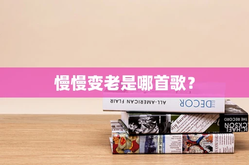 慢慢变老是哪首歌？