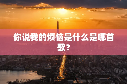 你说我的烦恼是什么是哪首歌？