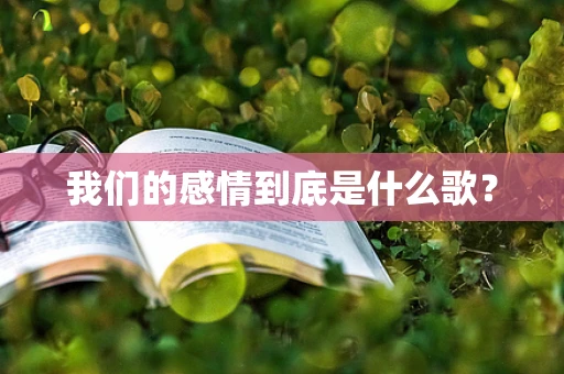 我们的感情到底是什么歌？