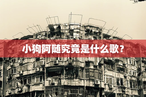 小狗阿随究竟是什么歌？