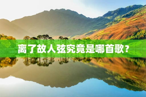 离了故人弦究竟是哪首歌？