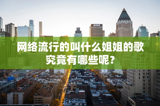 网络流行的叫什么姐姐的歌究竟有哪些呢？