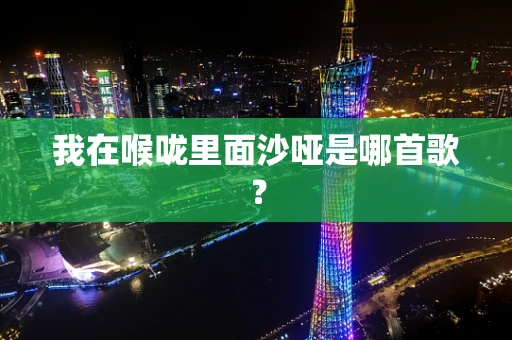 我在喉咙里面沙哑是哪首歌？