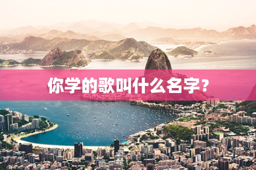 你学的歌叫什么名字？