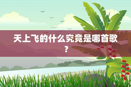 天上飞的什么究竟是哪首歌？