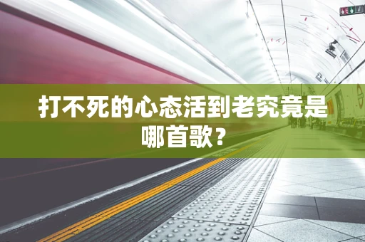打不死的心态活到老究竟是哪首歌？