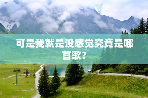 可是我就是没感觉究竟是哪首歌？