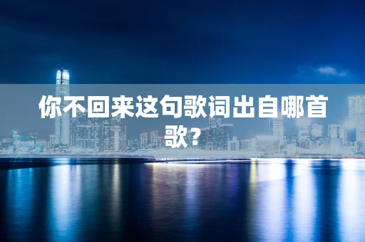 你不回来这句歌词出自哪首歌？