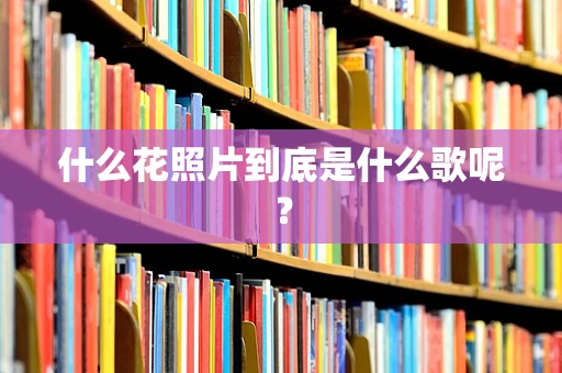什么花照片到底是什么歌呢？