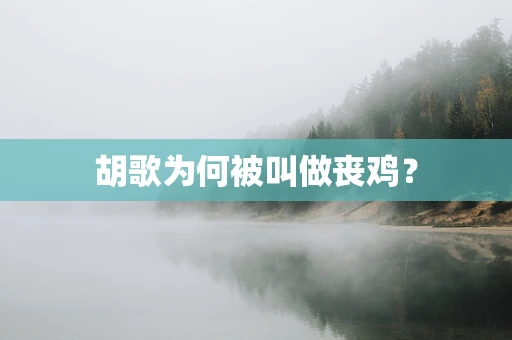 胡歌为何被叫做丧鸡？