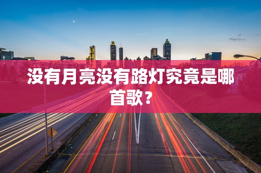 没有月亮没有路灯究竟是哪首歌？