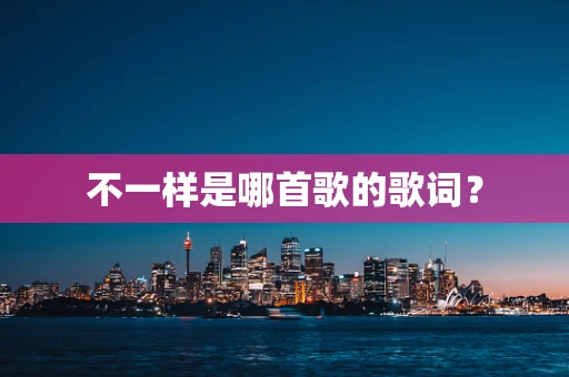 不一样是哪首歌的歌词？