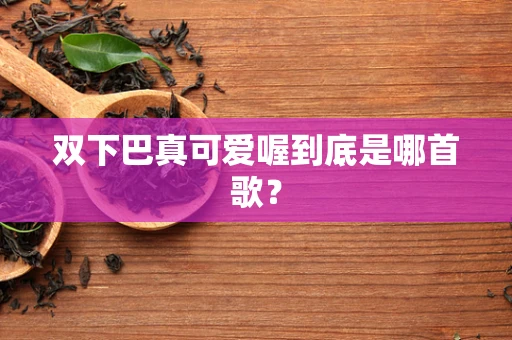 双下巴真可爱喔到底是哪首歌？