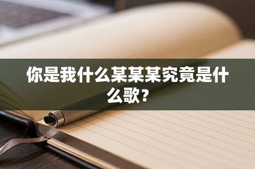 你是我什么某某某究竟是什么歌？