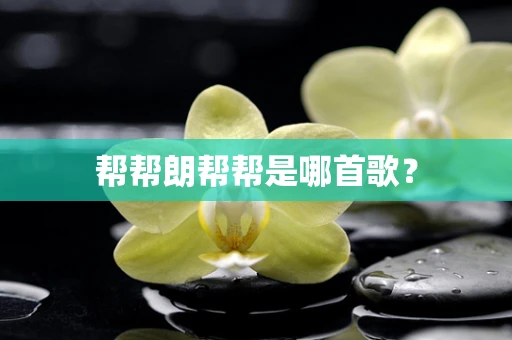 帮帮朗帮帮是哪首歌？