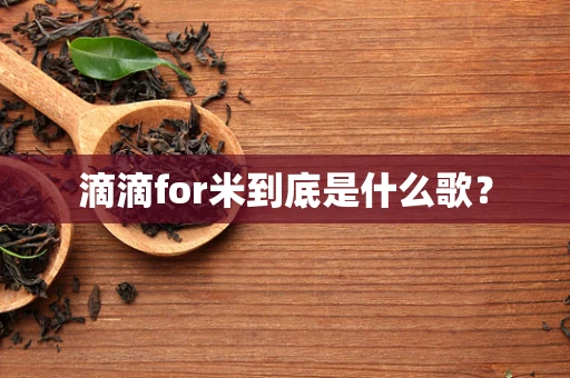 滴滴for米到底是什么歌？
