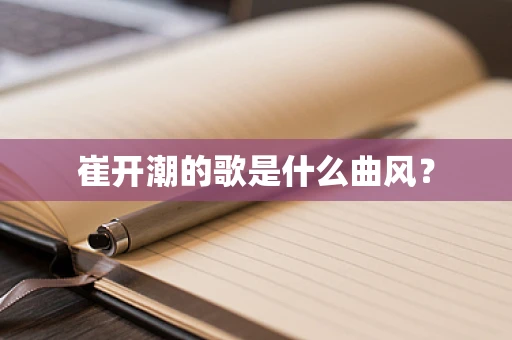 崔开潮的歌是什么曲风？