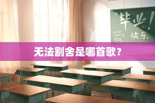 无法割舍是哪首歌？