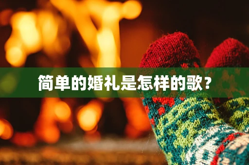 简单的婚礼是怎样的歌？