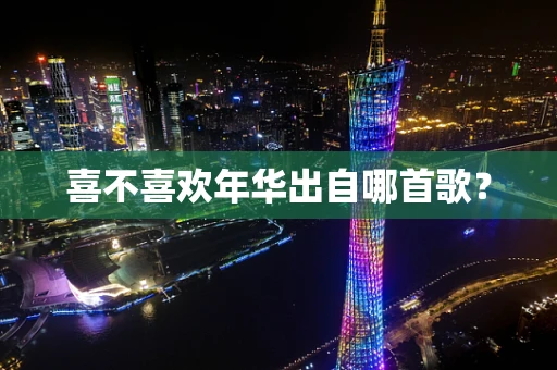 喜不喜欢年华出自哪首歌？