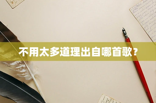 不用太多道理出自哪首歌？