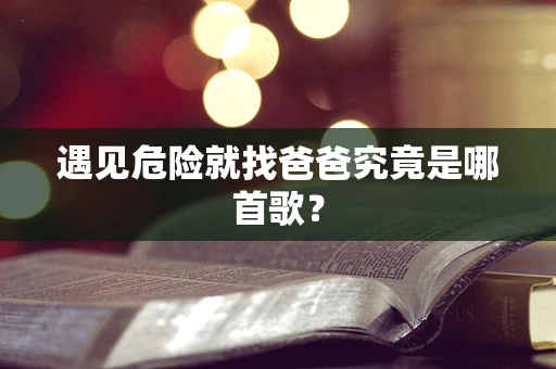 遇见危险就找爸爸究竟是哪首歌？