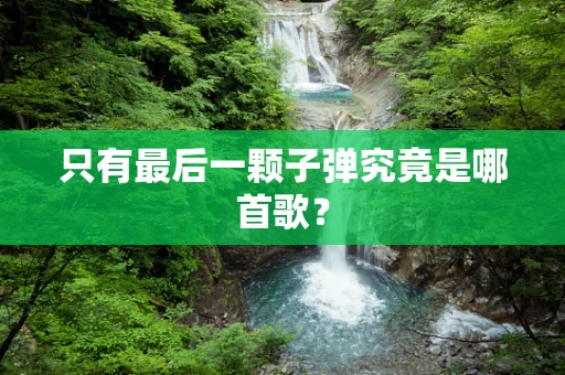 只有最后一颗子弹究竟是哪首歌？