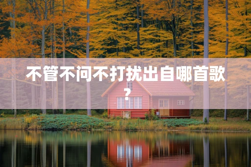 不管不问不打扰出自哪首歌？
