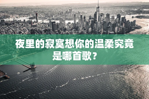 夜里的寂寞想你的温柔究竟是哪首歌？