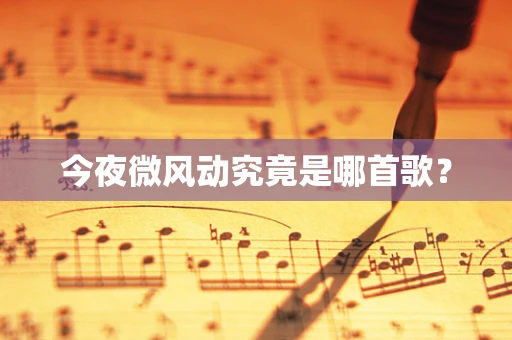 今夜微风动究竟是哪首歌？