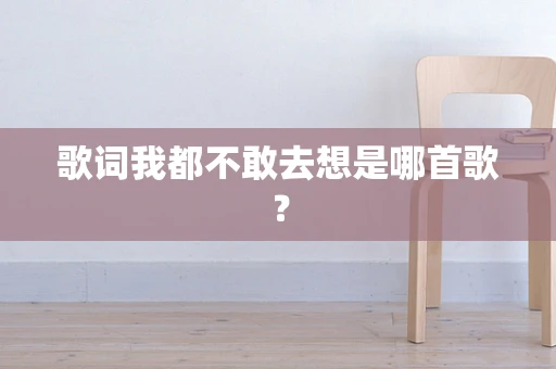 歌词我都不敢去想是哪首歌？