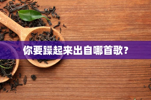 你要躁起来出自哪首歌？