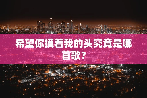 希望你摸着我的头究竟是哪首歌？