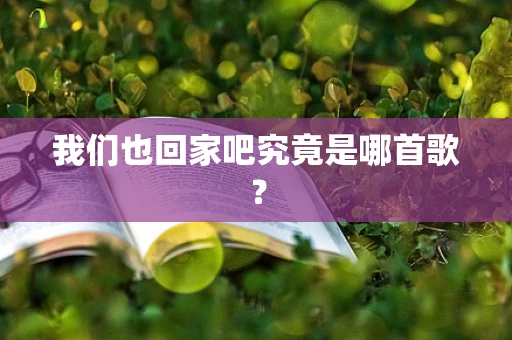我们也回家吧究竟是哪首歌？