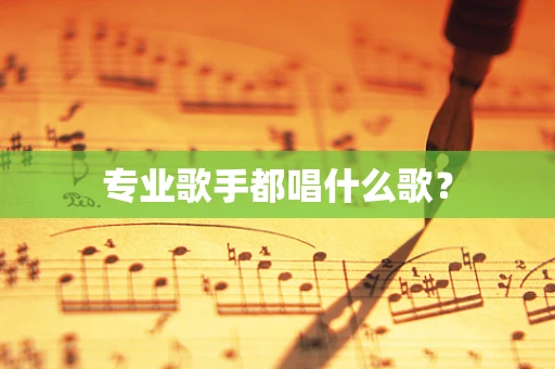 专业歌手都唱什么歌？