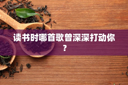 读书时哪首歌曾深深打动你？