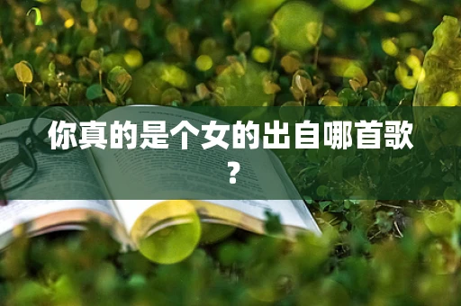 你真的是个女的出自哪首歌？
